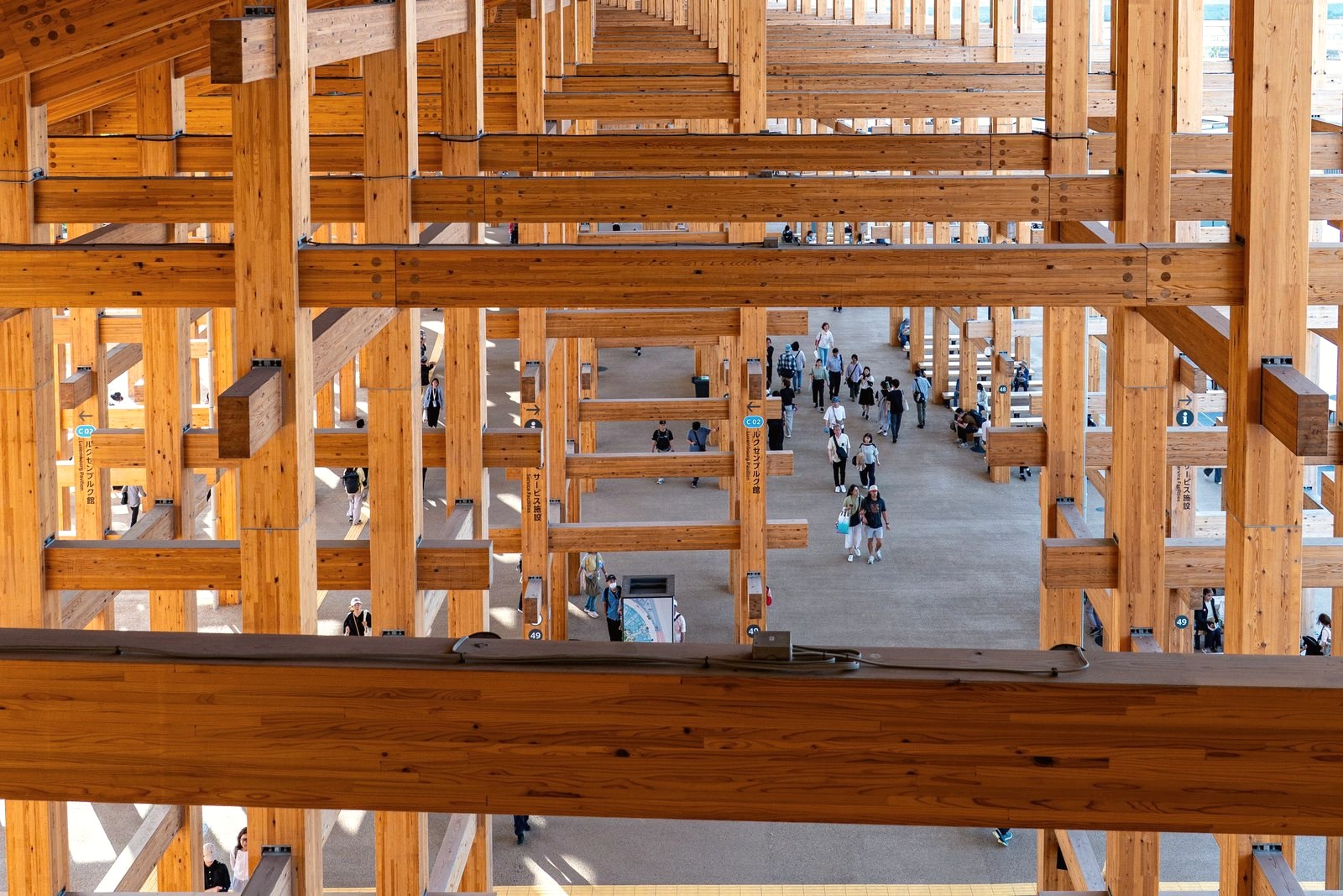 La struttura in legno lamellare: ogni giunto è meccanico, nessun elemento supera i quattro metri